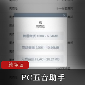 PC五音助手纯净版