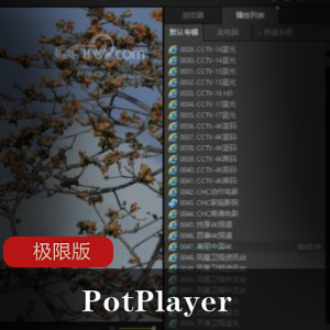 PotPlayer极限版