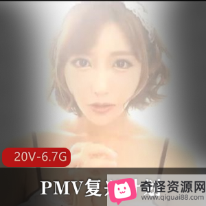 PMV复兴计划：小合集20V-6.7G，咬一口兔娘、亚籍女Y，巨囊症作品，三人游，极速抽C，颜S，观看