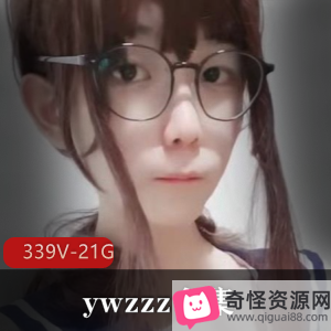 TS-ywzzz合集：339个视频，21GB，精选大雕满足玩具