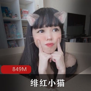 绯红小猫资源包：849M视频精致腮红+cos猫形，性感造型