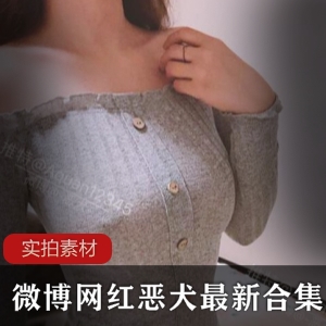 茶杯恶犬视频图包60套40.1G高清套图，典藏版美女COS服装作品